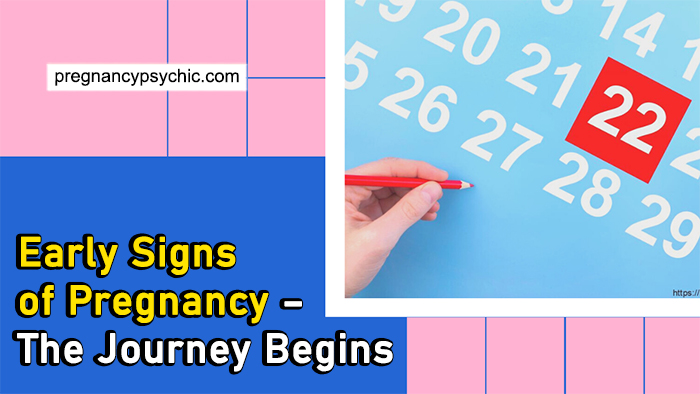 Early Signs of Pregnancy – The Journey Begins