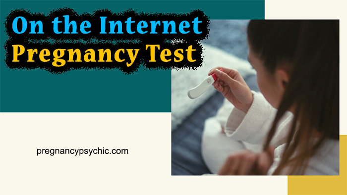 On the Internet Pregnancy Test